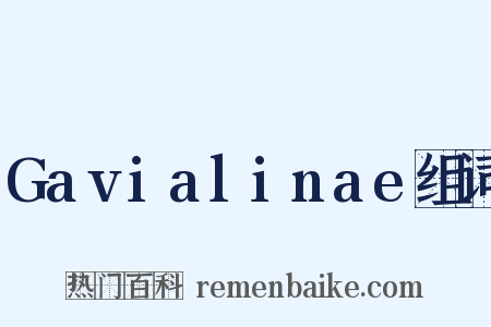 Gavialinae组词是什么意思的图片